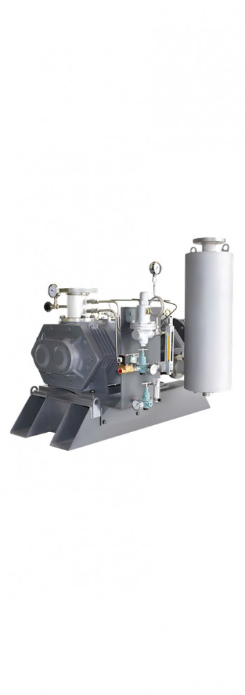 Dry Screw Vacuum Pump