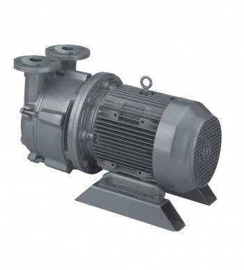 Liquid Ring Vacuum Pumps (LRVP)